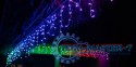Inteligentne lampki sople Icicle 190 RGBW LED, 5x0,5 m, IP44, przezroczysty przewód