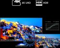 Telewizor Laser TV 100 cali 100L9HD