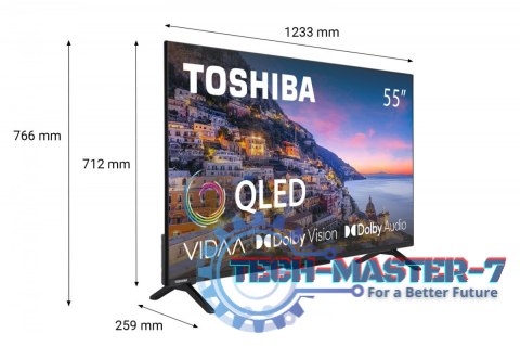 Telewizor QLED 55 cali 55QV2463DG Telewizor QLED 55 cali 55QV2463DG