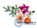 Klocki Botanicals 10342 Piękny bukiet różowych kwiatów