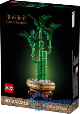 Klocki Botanicals 10344 Dracena sandera