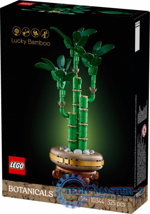 Klocki Botanicals 10344 Dracena sandera Klocki Botanicals 10344 Dracena sandera