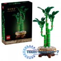 Klocki Botanicals 10344 Dracena sandera