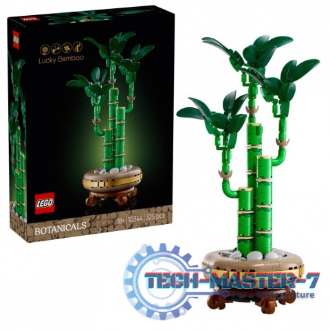 Klocki Botanicals 10344 Dracena sandera Klocki Botanicals 10344 Dracena sandera