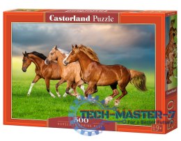 Puzzle 500 elementów Konie biegnące wiosną