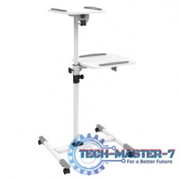 Uchwyt do projektora TECHLY 309593 (10 kg/850 - 1100mm)
