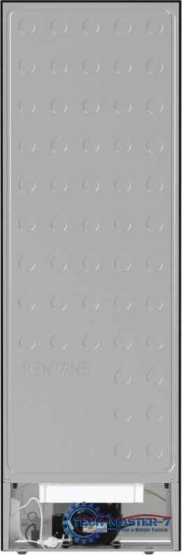 Chłodziarka R619EABK6