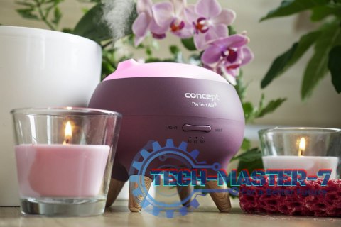 Dyfuzor zapachu Concept Perfect Air Berry DF1011 Dyfuzor zapachu Concept Perfect Air Berry DF1011