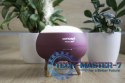 Dyfuzor zapachu Concept Perfect Air Berry DF1011