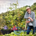 Wózek transportowy ogrodowy taczka wywrotka 75L 200 kg duże pompowane koła MultiGarden MULTI GARDEN