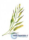 Gra Łąka (Meadow) PL