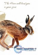 Karty Tarot Power Animal Cards