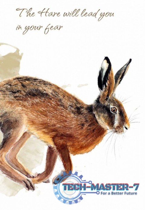 Karty Tarot Power Animal Cards Karty Tarot Power Animal Cards