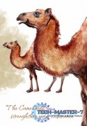 Karty Tarot Power Animal Cards
