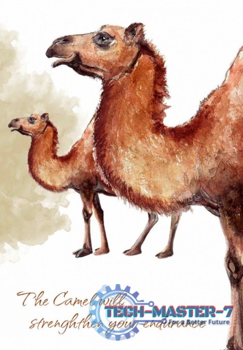 Karty Tarot Power Animal Cards Karty Tarot Power Animal Cards