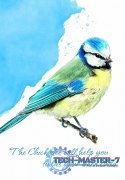 Karty Tarot Power Animal Cards