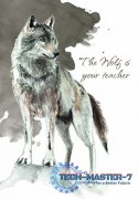 Karty Tarot Power Animal Cards