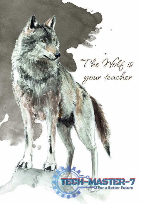 Karty Tarot Power Animal Cards Karty Tarot Power Animal Cards