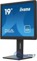 Monitor 19 cali B1980D-B5 DVI,VGA,PIVIOT,HAS/150mm,5:4