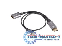 Adapter HDMI(M)-Displayport(F)4K na kablu 20cm srebrny