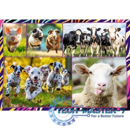 Puzzle 4x250 elementów Zabawne zwierzaki