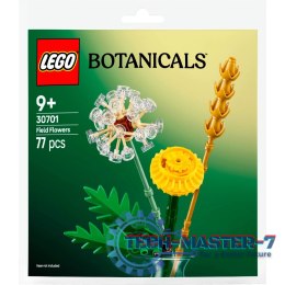LEGO Botanical Collection Kwiaty polne 30701