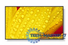 Monitor NEC 60006083 (43