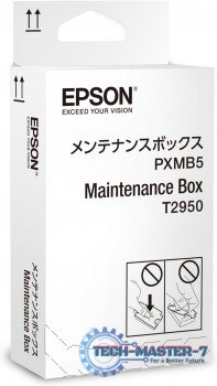 EPSON C13T295000