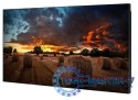 Monitor SAMSUNG LH55VMBUBGBXEN (55" /D-LED /1920 x 1080 /Czarny )