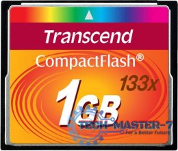 Karta pamięci TRANSCEND 1 GB Plastikowy pokrowiec