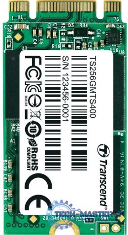 Dysk SSD TRANSCEND M.2 2242 256 GB (256 GB )