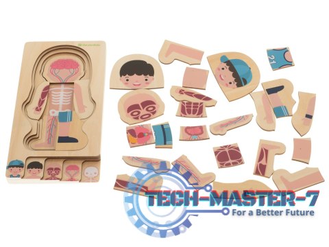 Puzzle drewniane warstwowe budowa ciała montessori chłopiec Puzzle drewniane warstwowe budowa ciała montessori chłopiec