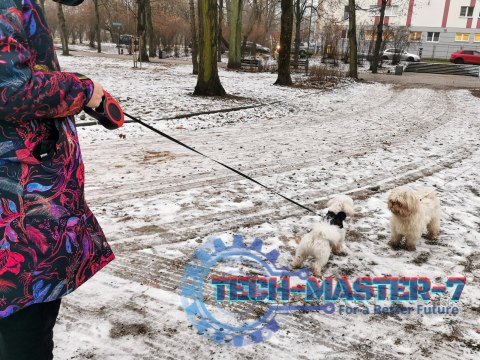 Smycz automatyczna taśma 5m dla psa do 14kg czerwo Smycz automatyczna taśma 5m dla psa do 14kg czerwo