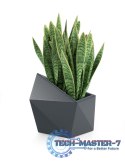 Designerska donica MONUMO ASTRO Antracyt MONUMO