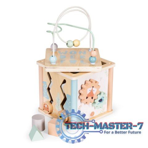 Drewniana kostka edukacyjna sorter klocki ECOTOYS ECOTOYS