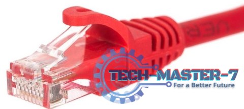 NETRACK RJ45 - RJ45 0.25 m Czerwony 0.25 Patchcord