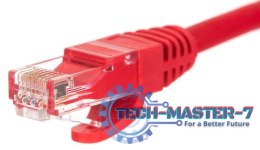 NETRACK RJ45 - RJ45 0.25 m Czerwony 0.25 Patchcord
