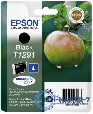 Wkład EPSON T1291 C13T12914011