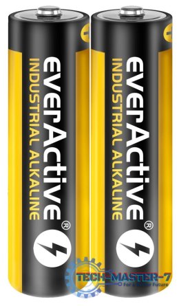 Baterie EVERACTIVE Alkaliczna AA 2700mAh 40 szt. EVLR6S2IK