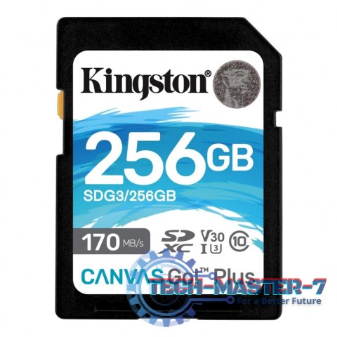 Karta pamięci KINGSTON 256 GB