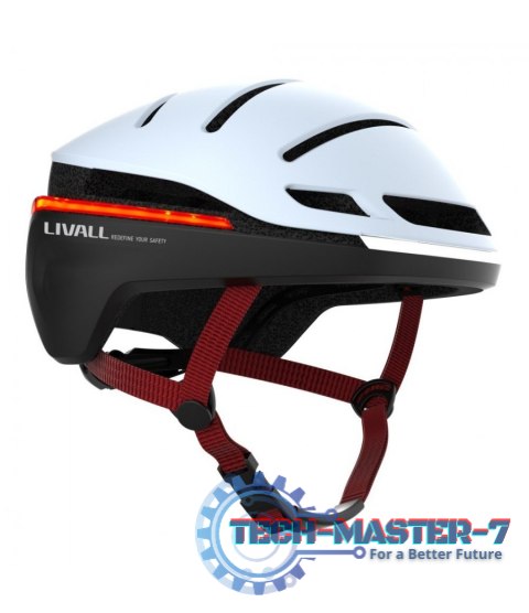 EVO21-L-SNW