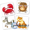 Gra Kuferek Zoo Memory