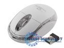 MYSZ BEZPREWODOWA CONDOR,3D,2.4GHz, TM120W