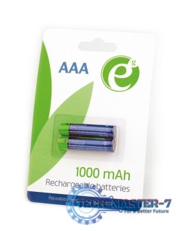 Akumulator Ni-MH AAA 1000 mAh/2pak/blister