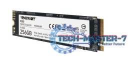 Dysk SSD P300 256GB M.2 PCIe Gen 3 x4 1700/1100