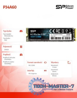 Dysk SSD A60 256GB M.2 PCIe 2100/1200 MB/s NVMe