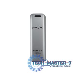 Pendrive 256GB USB3.1 ELITE STEEL FD256ESTEEL31G-EF