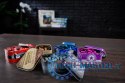 Gra Wsiąść do Pociągu: Europa 15 rocznica