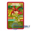 Gra karciana Top Trumps Grzybobranie