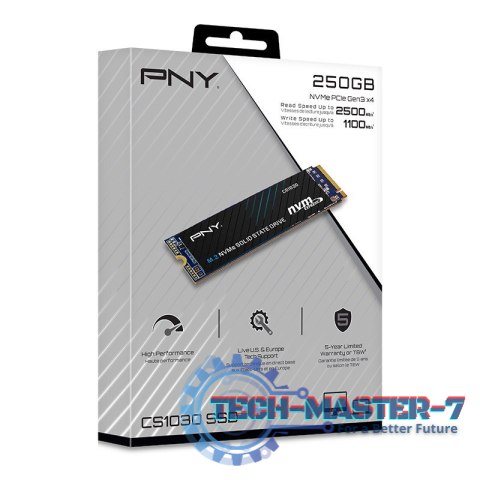 Dysk SSD 250GB M.2 2280 CS1030 M280CS1030-250-RB Dysk SSD 250GB M.2 2280 CS1030 M280CS1030-250-RB
